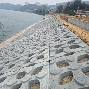 求购高标准防洪堤坝生态水泥预制防护构件